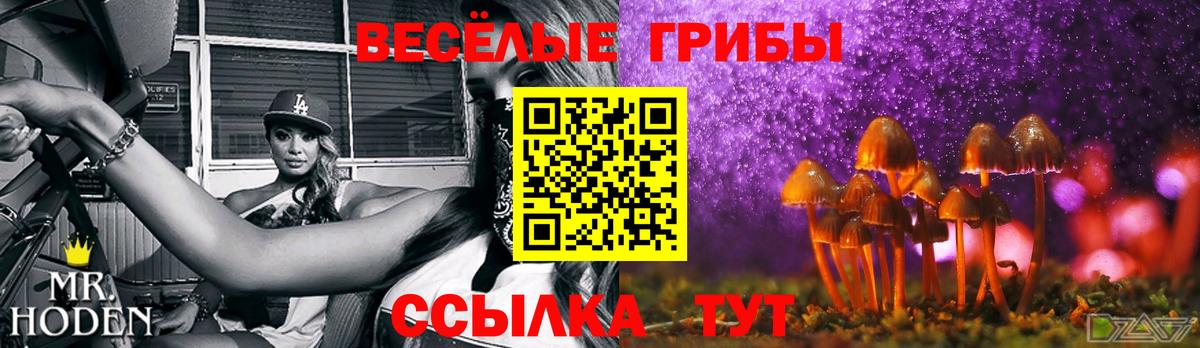 сколько стоит  Галлюциногенные грибы Magic Shrooms  Псилоцибиновые грибы GOLDEN TEACHER  Вход с VPN  Кизилюрт 